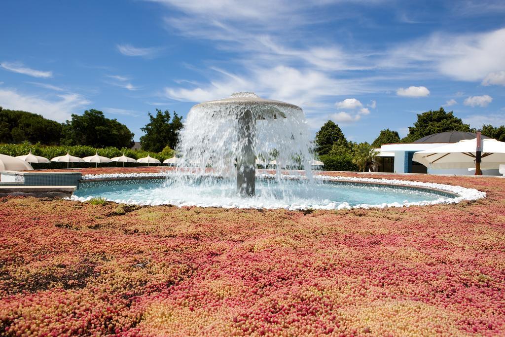 Hotel Salus Terme - Adults Only